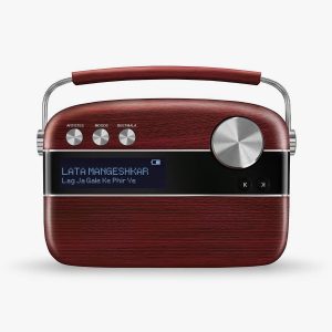 SAREGAMA Carvaan Color