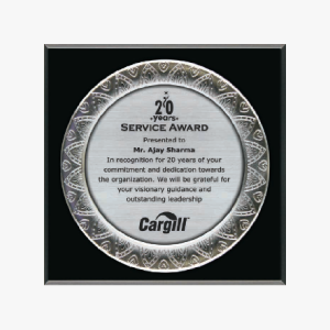 Trophy 26