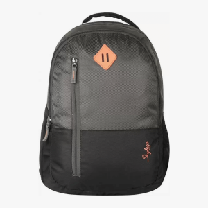 SKYBAGS Arthur New Laptop Backpack Grey